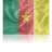 Cameroon Icon